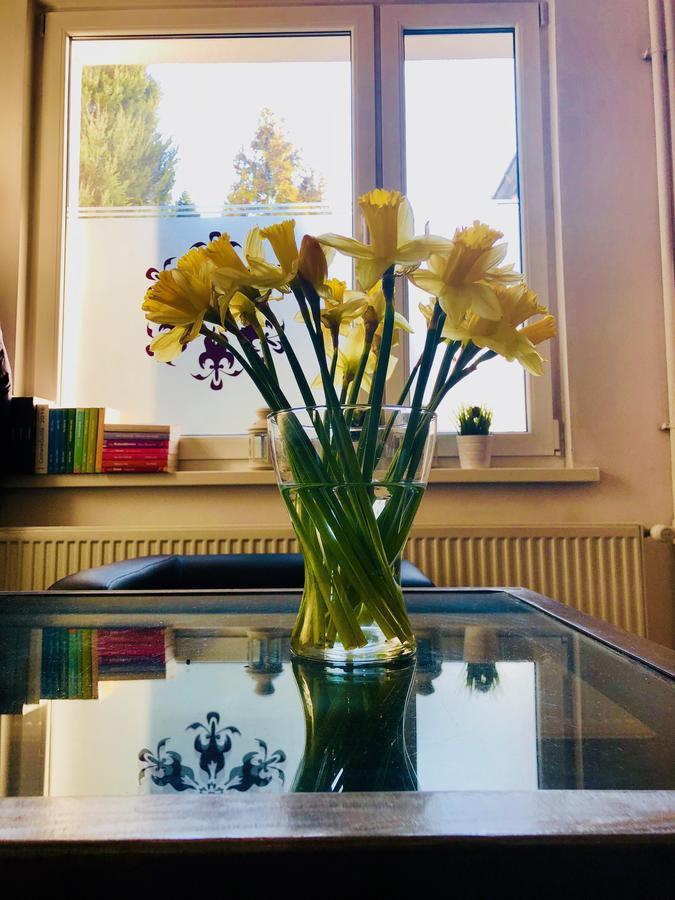 Hostel24 Bed&Breakfast Bydgoszcz Ngoại thất bức ảnh